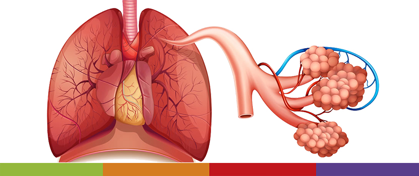 Las enfermedades respiratorias crónicas y la importancia de prevenir