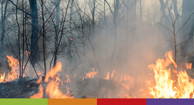 ¿Cómo cuidar la salud mental en afectados por los incendios forestales?